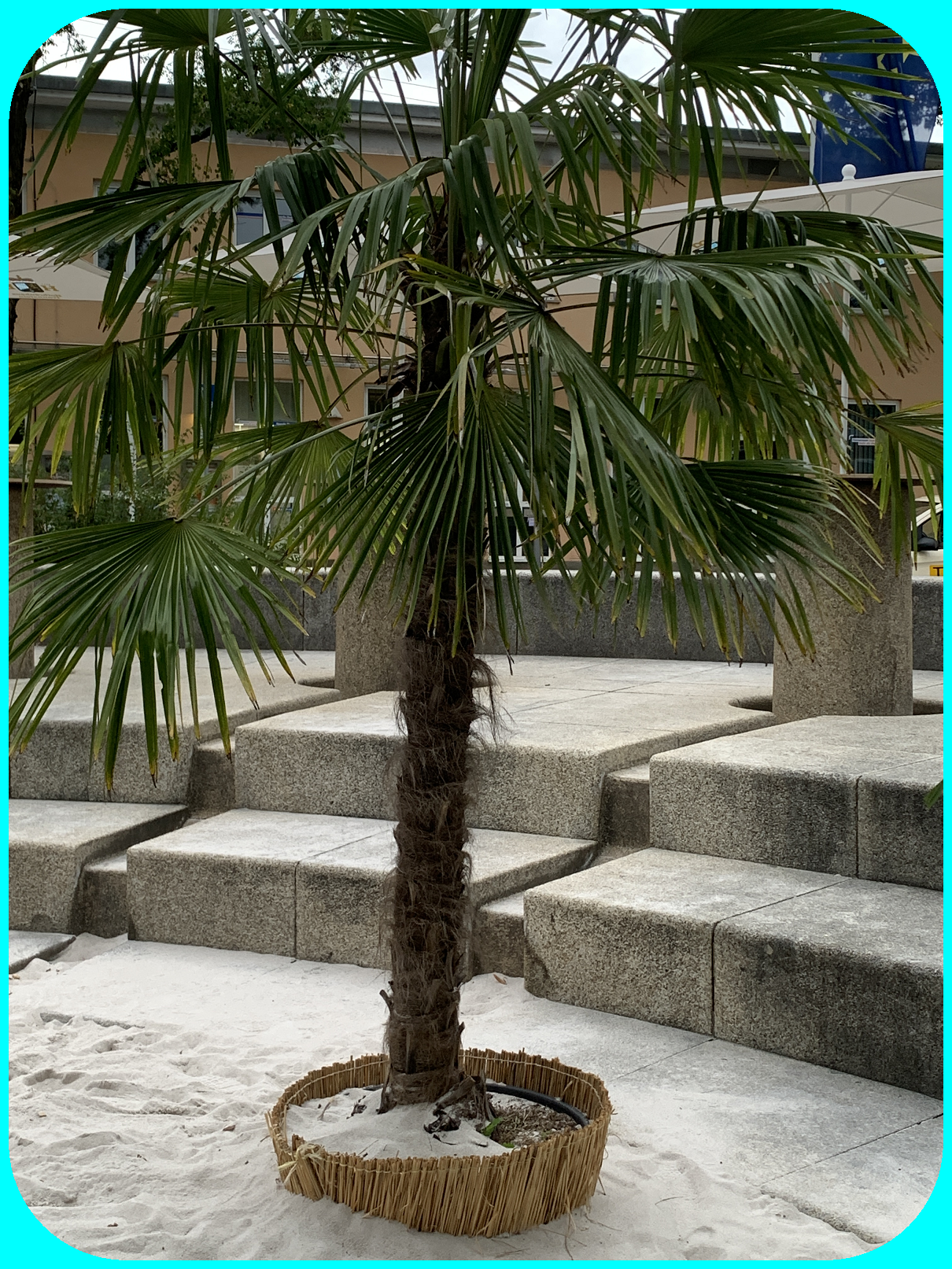 Party-Location und Bekanntschaften von Ladies oder Guys in den verschiedenen Locations